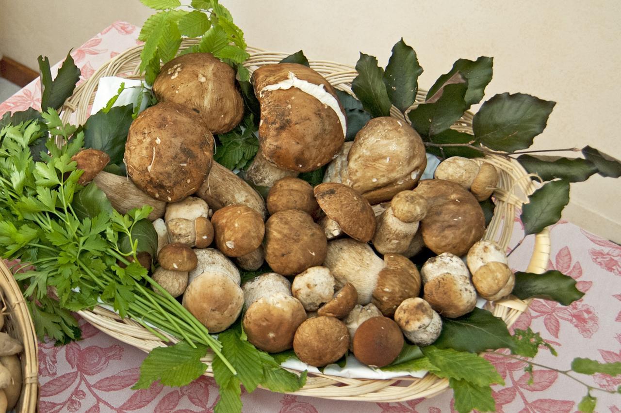 Locanda Solagna Quero Εξωτερικό φωτογραφία