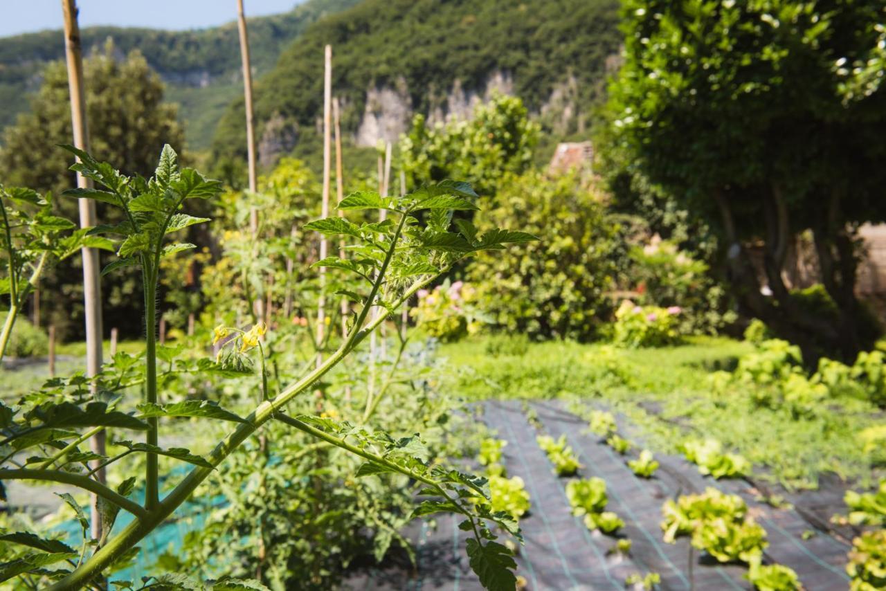 Locanda Solagna Quero Εξωτερικό φωτογραφία